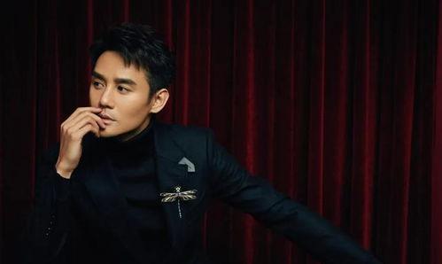 吃瓜娱乐圈八卦王凯,娱乐圈吃瓜王,揭秘明星幕后故事