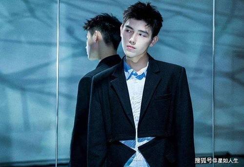 娱乐圈吃瓜元素表陈飞宇,娱乐圈吃瓜达人,揭秘明星幕后故事